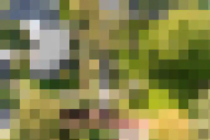 De Blomhof 14 Heiloo thumbnail 46