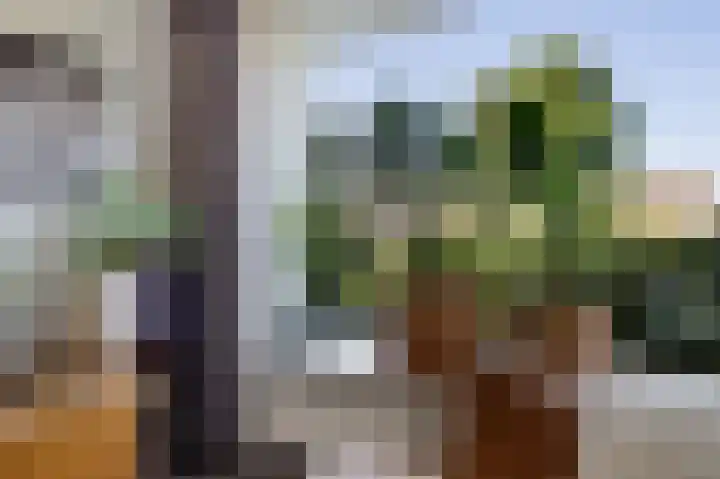 De Boarch 31 Grou thumbnail 12