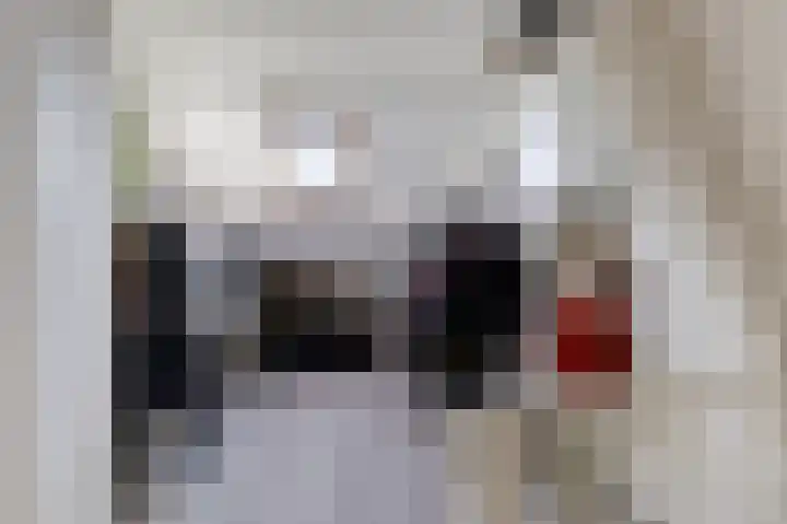 De Boarch 31 Grou thumbnail 30