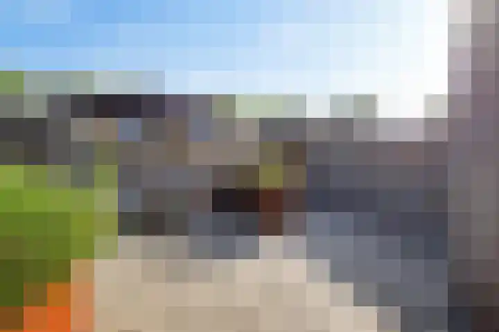 De Boarch 31 Grou thumbnail 33