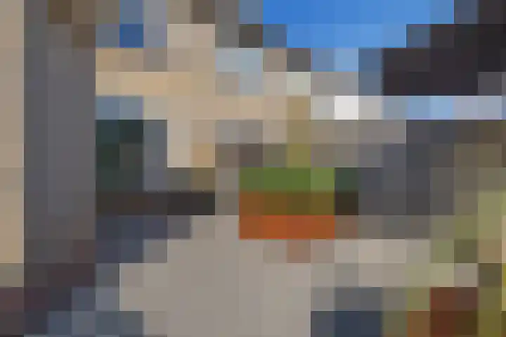De Boarch 31 Grou thumbnail 35