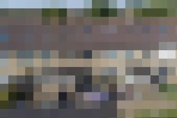 De Boarch 31 Grou thumbnail 39