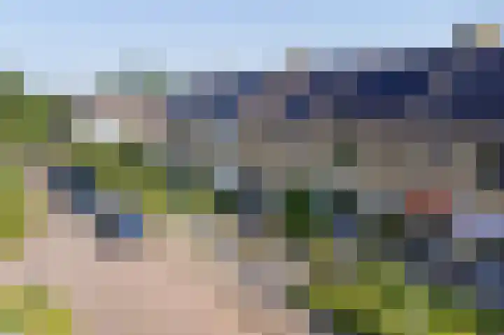De Boarch 31 Grou thumbnail 40