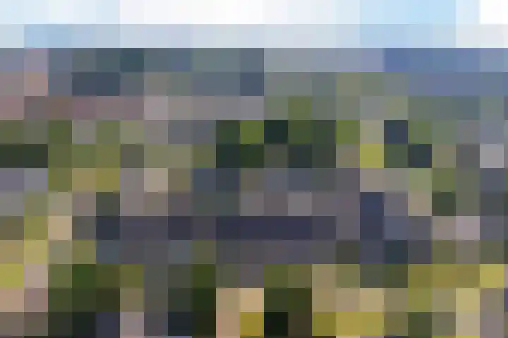 De Boarch 31 Grou thumbnail 43