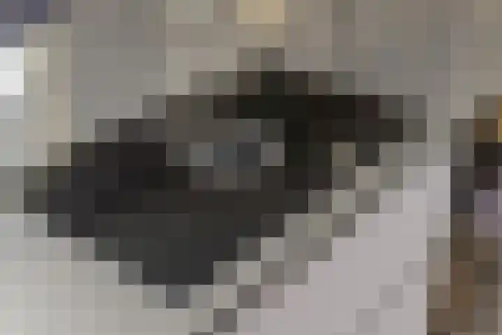 De Bocht 1 Diessen thumbnail 16