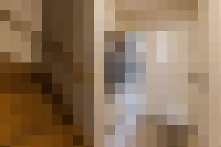 De Bocht 1 Diessen thumbnail 25