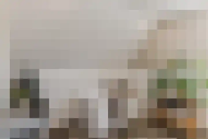 De Bocht 1 Diessen thumbnail 43