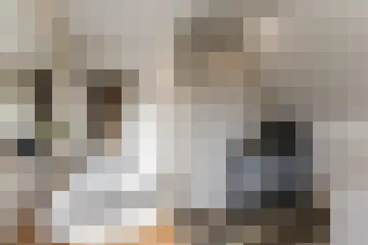 De Bocht 1 Diessen thumbnail 44