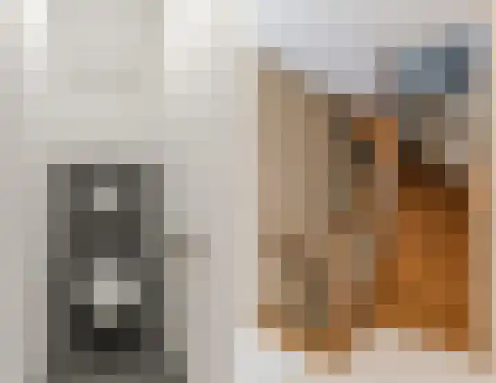 De Bocht 1 Diessen thumbnail 46