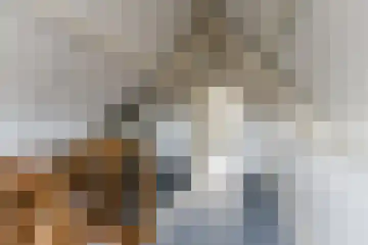 De Bocht 1 Diessen thumbnail 50