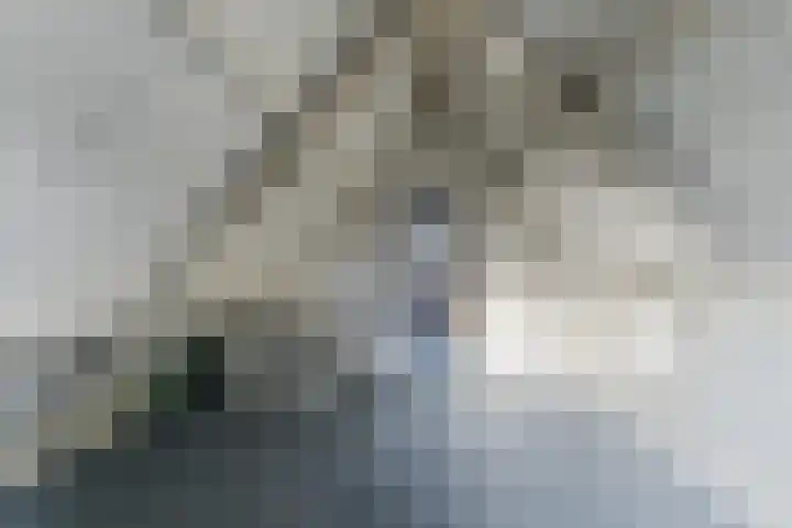 De Bocht 1 Diessen thumbnail 53