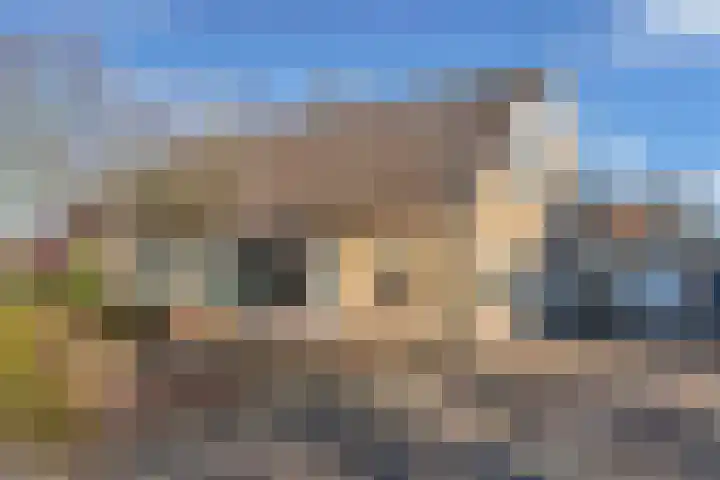 De Boech 12 Menaam