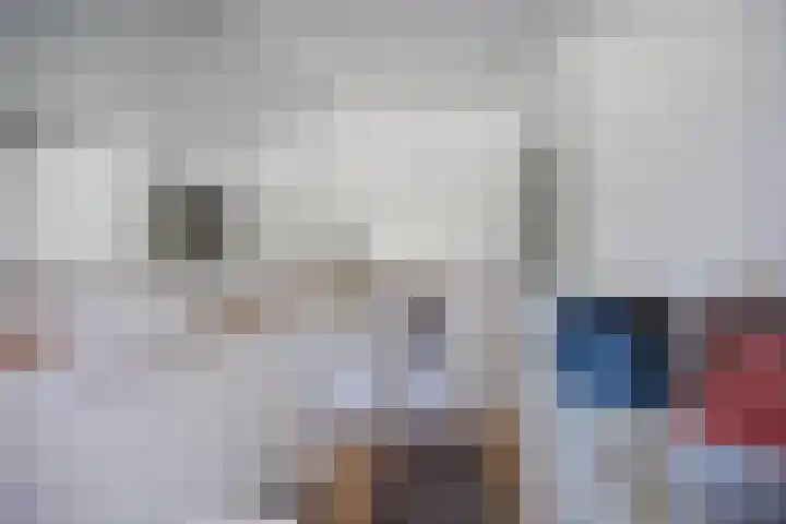 De Boech 12 Menaam thumbnail 17