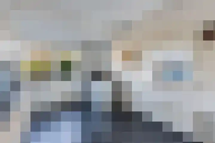 De Boech 12 Menaam thumbnail 18