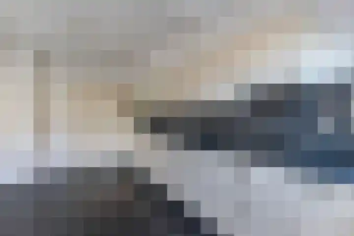 De Boech 12 Menaam thumbnail 19