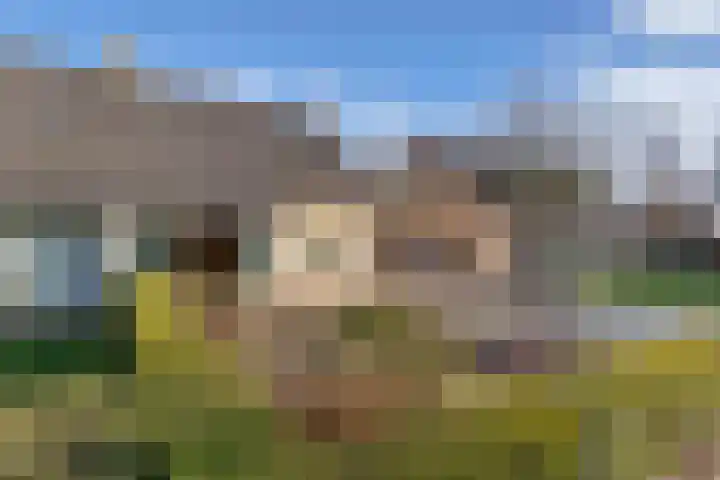 De Boech 12 Menaam thumbnail 21