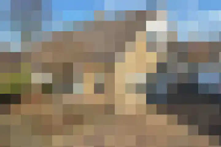 De Boech 12 Menaam thumbnail 22