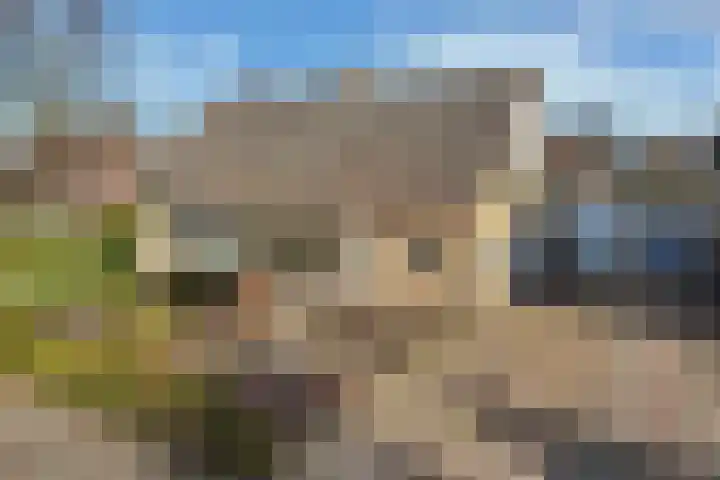 De Boech 12 Menaam thumbnail 23