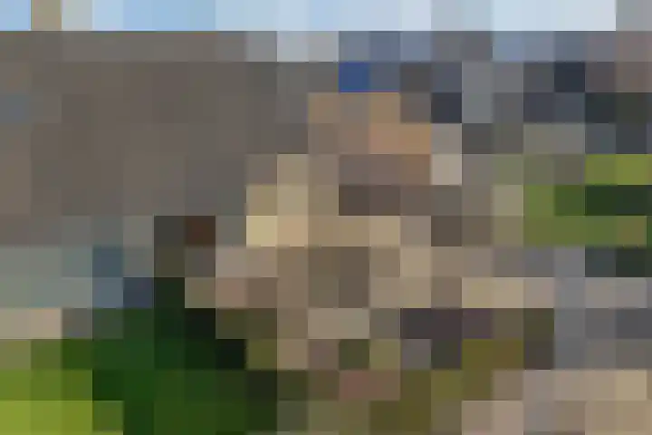 De Boech 12 Menaam thumbnail 24
