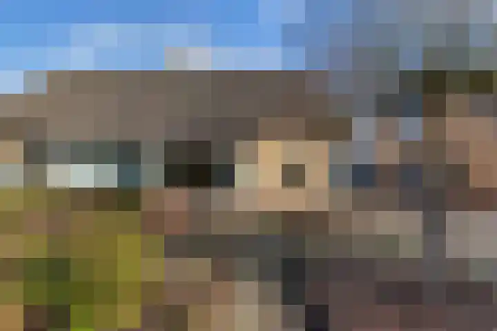 De Boech 12 Menaam thumbnail 4