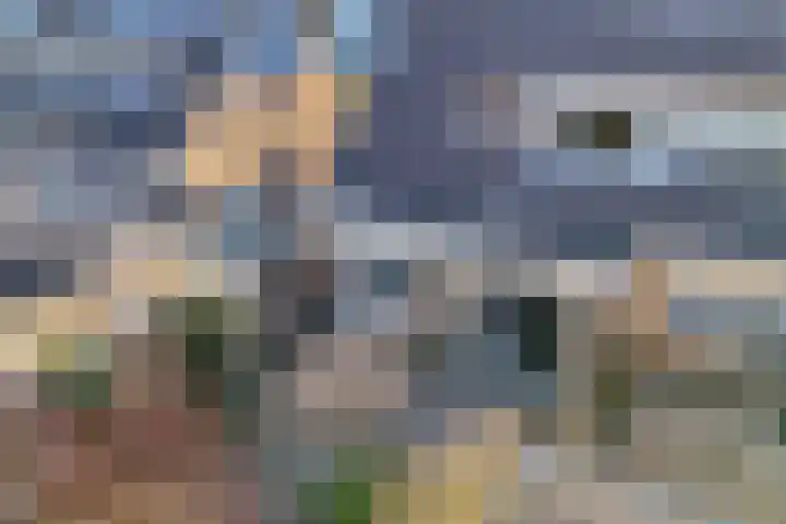 De Boech 12 Menaam thumbnail 40