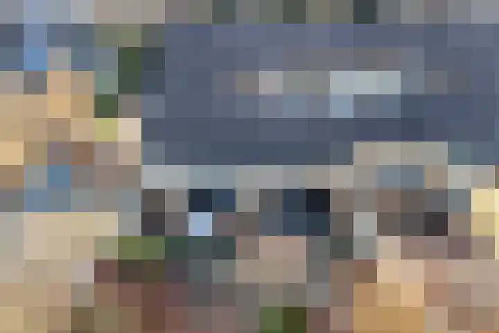 De Boech 12 Menaam thumbnail 41