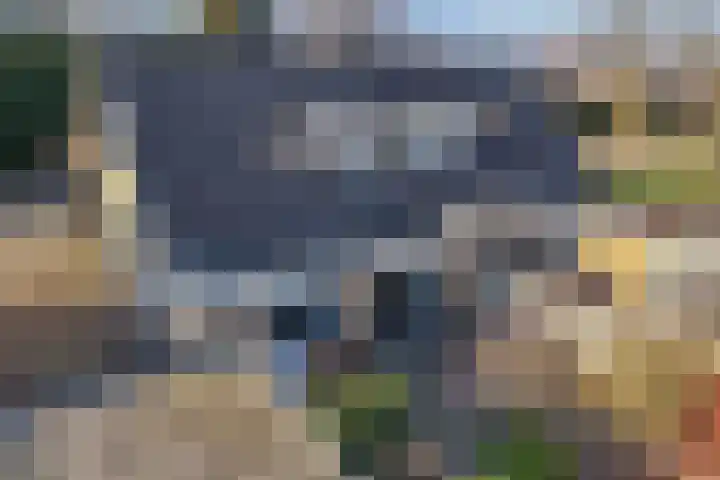 De Boech 12 Menaam thumbnail 42