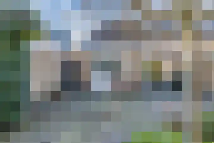 De Boech 12 Menaam thumbnail 45