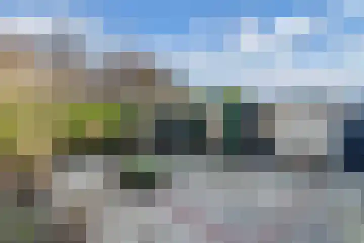 De Boech 12 Menaam thumbnail 46