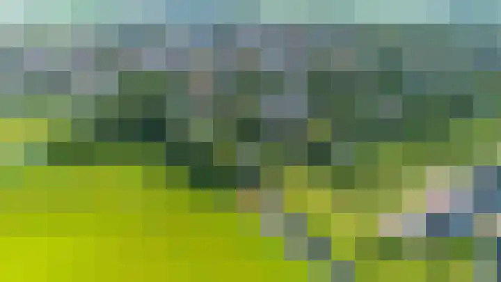 De Boech 27 Menaam thumbnail 101