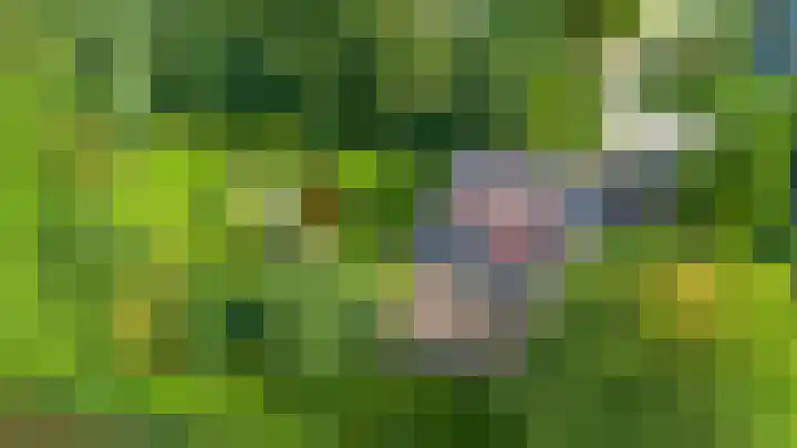 De Boech 27 Menaam thumbnail 106