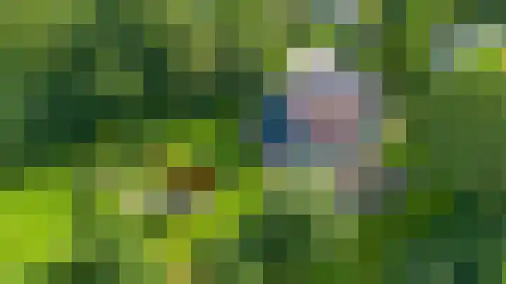 De Boech 27 Menaam thumbnail 108
