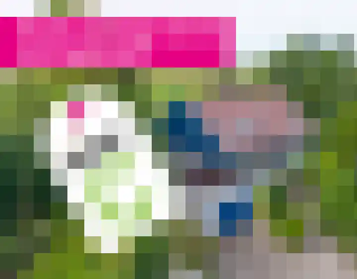 De Boech 27 Menaam thumbnail 110