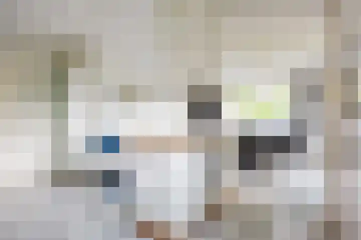De Boech 27 Menaam thumbnail 37