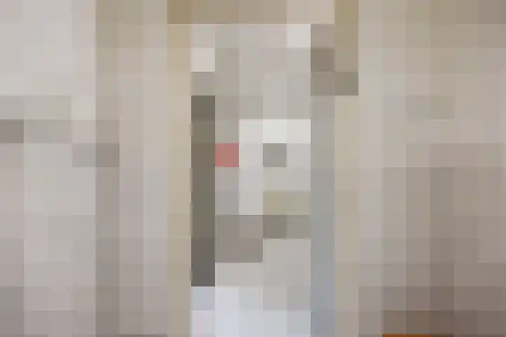 De Boech 27 Menaam thumbnail 40