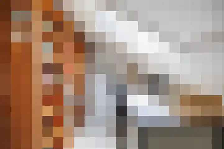 De Boech 27 Menaam thumbnail 47