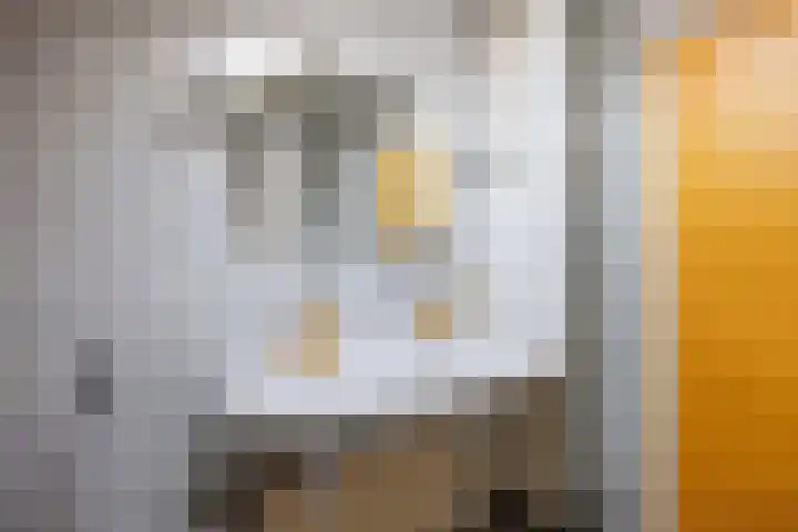 De Boech 27 Menaam thumbnail 57