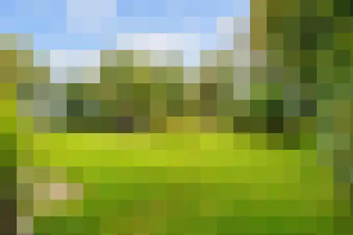 De Boech 27 Menaam thumbnail 65