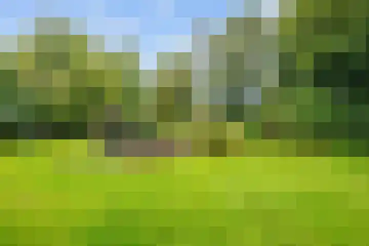 De Boech 27 Menaam thumbnail 67