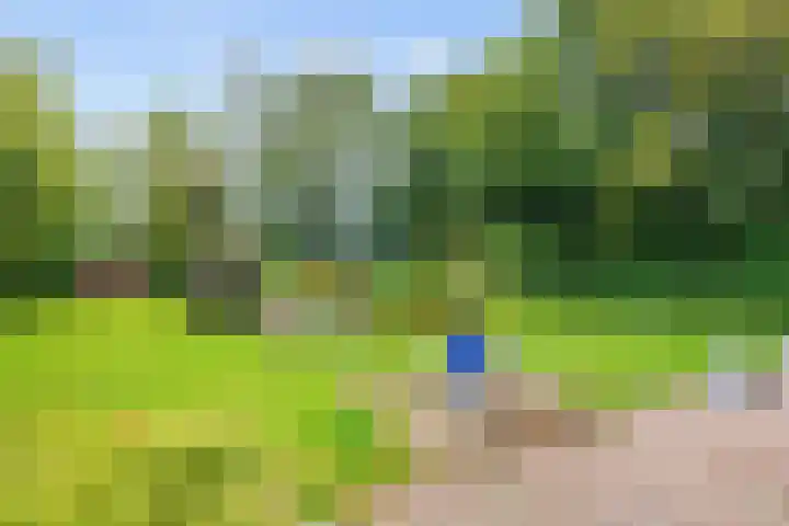De Boech 27 Menaam thumbnail 69