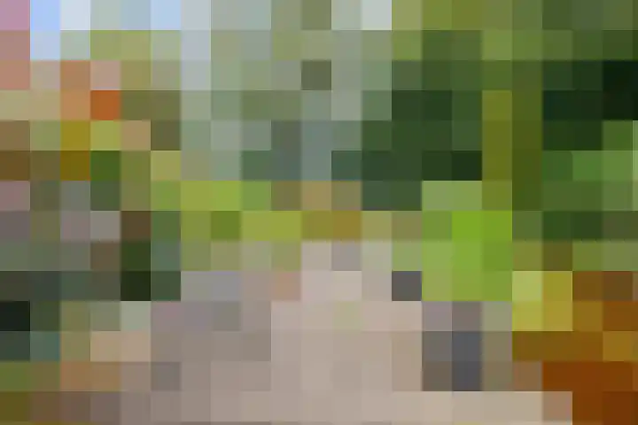 De Boech 27 Menaam thumbnail 73