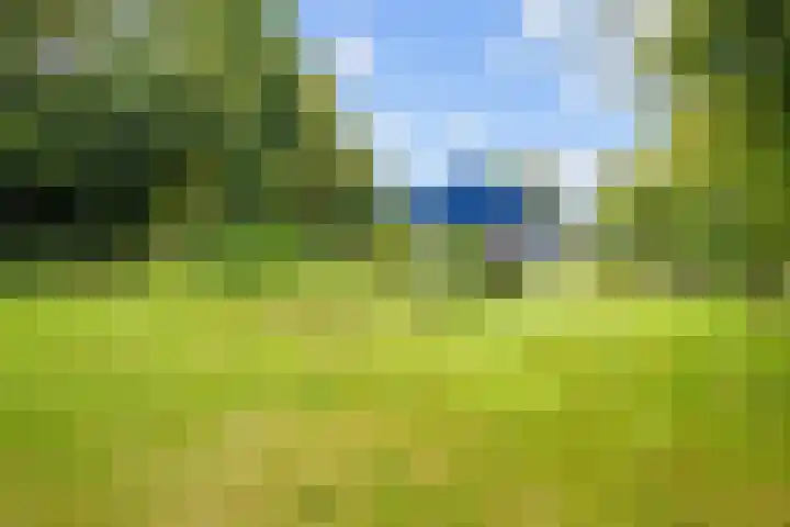 De Boech 27 Menaam thumbnail 76