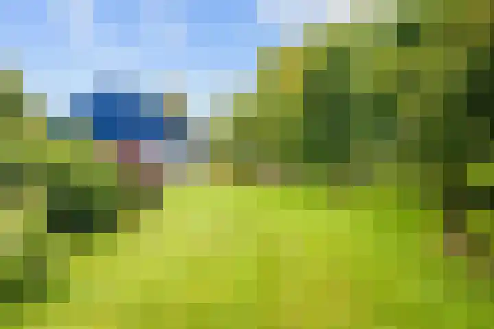 De Boech 27 Menaam thumbnail 79