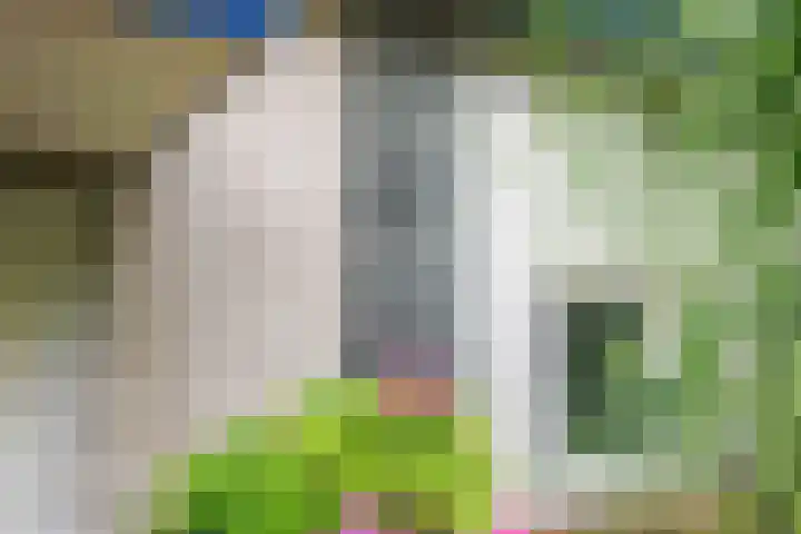 De Boech 27 Menaam thumbnail 92