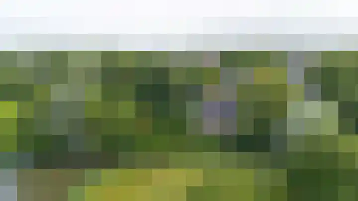 De Boech 27 Menaam thumbnail 99