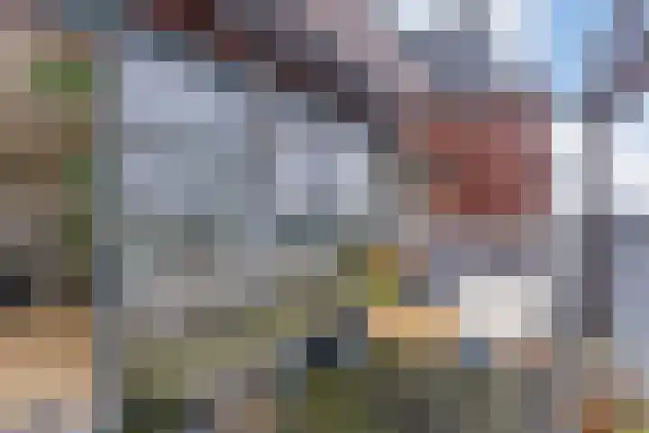 De Boeg 59 Zaandam thumbnail 13