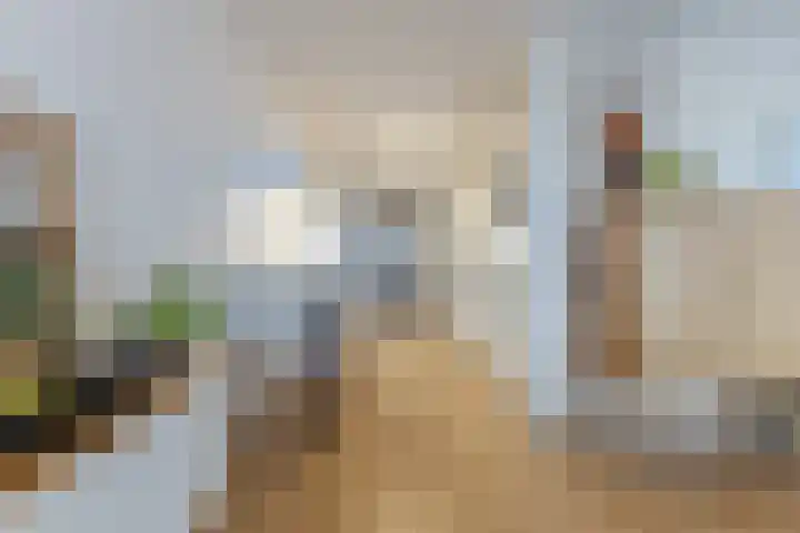 De Boeg 59 Zaandam thumbnail 7