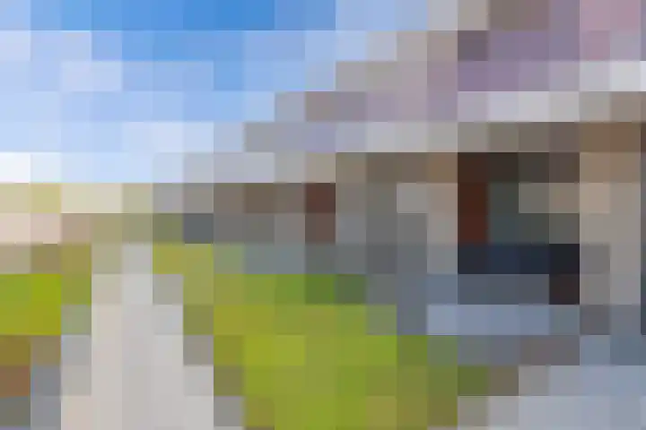 De Boei 11 Emmeloord thumbnail 10
