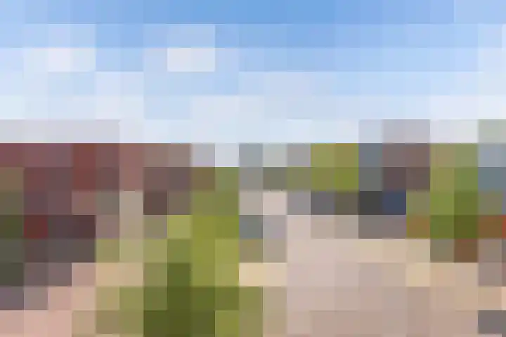 De Boei 11 Emmeloord thumbnail 23