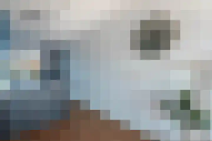 De Boei 11 Emmeloord thumbnail 25